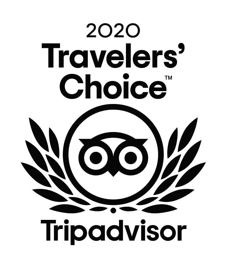 logo tripadvisor traveller choice 2020